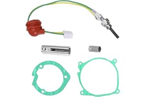 LIDSCURA 12V 2KW Car Air Diesel Parking Heater Service Kit with Removal Tool+Glow Plug+Ceramic Gaskets Strainers for Webasto Eberspacher D2 D4 D4S 75w-98w
