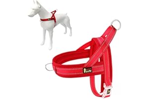 Plutus Pet No Pull Dog Harness with Breathable Mesh Padded, Adjustable Reflective Escape Proof Dog Harness, Quick Fit Dog Vest Harness for Small Medium Large Dogs(M, Red)