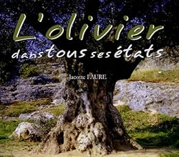 L' olivier dans tous ses états