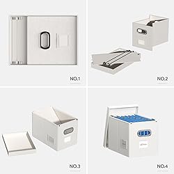 DYWMM Hanging File Box with Lid, Set of 2 Filing