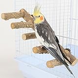 Bolagar Bird Parrot Ladder Perch for Cage, Nature
