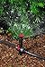 Gardeners Supply Company Snip-n-Spray Garden & Landscape Sprinkler System | Adjustable Outdoor Garden Irrigation System with 50 ft Hose, 3 Rotor Sprinklers, 3 End Caps, 1 Hose Coupler & 1 Y-connector