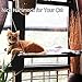 Cat Window Perch - Sturdy Cat Window Hammock w/Strong Suction Cup & Stainless Cable Hold Up to 50lbs Window Mounted Cat Bed & Cat Sunny Seat - Provides Comfortable Sunbath and Watching Spot for Kitty