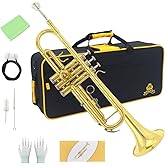 Trumpet Instrument,Band &amp; Orchestra Musical Instruments for Beginners,With trumpets case,Mouthpiece,Cloth and Gloves (Golden)