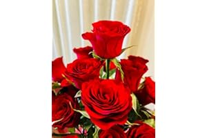 PINLI Music Wall Art-Taylor Swift Poster 2024 For Fans Room Decor Christmas Gifts-Taylor Swift Eras tour Posters Canvas Print Picture For Teen Girls Home Bedroom Decor