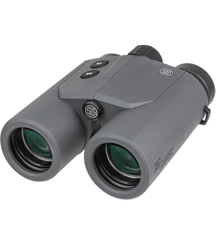 Amazon.com : Leupold BX-4 Range HD TBR/W 10x42mm Range