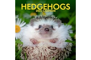 Hedgehogs Calendar 2026: A Year of Adorable & Spiky Friends: Charming Portraits of Nature's Prickliest Sweethearts