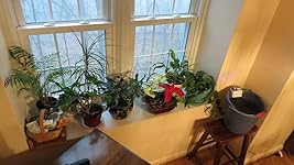 Review Image by Lee K. Lee K.