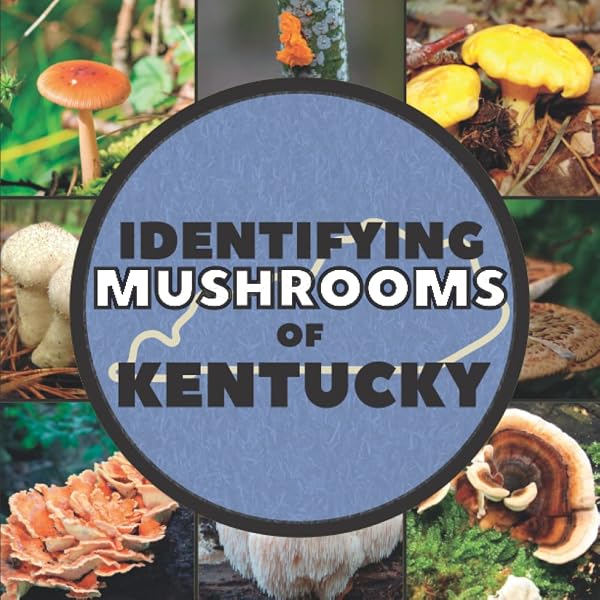 Collins Fungi Guide: The Most Complete Field Guide to the