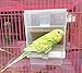 Hypeety Automatic Bird Feeder No Mess Pet Feeder Seed Food Container Perch Cage Accessories for Budgerigar Canary Cockatiel Finch Parakeetthumb 1