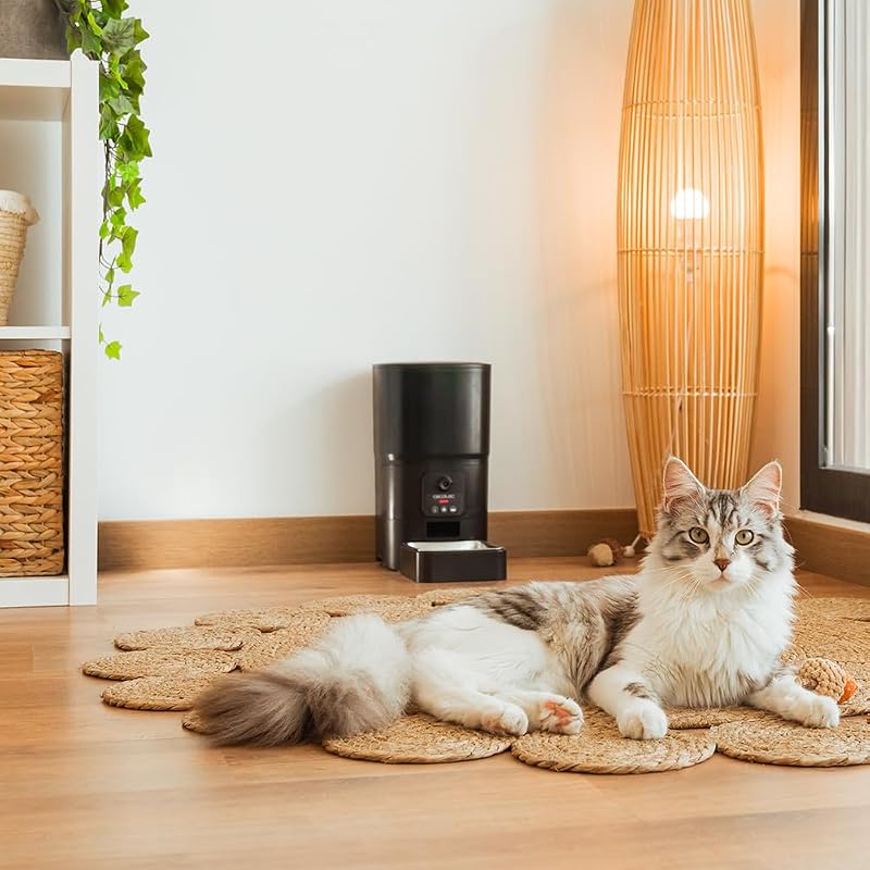Distributore Automatico Cibo Gatti e Cani Pumba 6000 Purrfect Meal Smart Vision. Controllo Wifi, Camera, Registratore Vocale, 6L, Controllo Porzioni fino a 10mm, Allarme, Ciotola Acciaio Inox