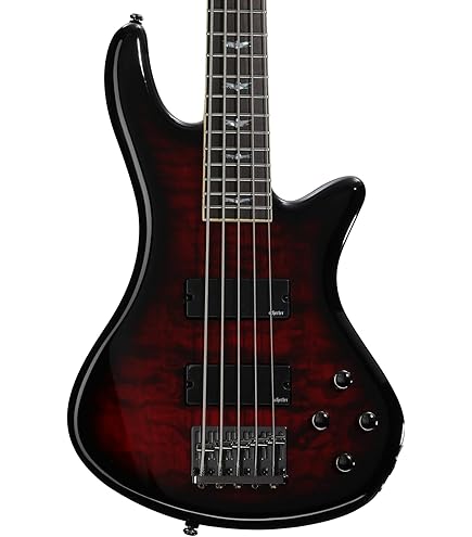 Amazon.com: Schecter Stiletto Studio-8 8-String Full-Size