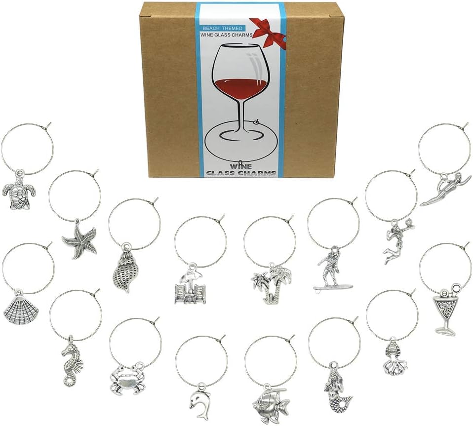 Vintage Women Funny Wine Glass Charms Silver Case Wine Tags Set of 6