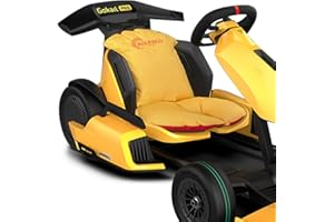 AULPACO Comfortable Backrest Seat Cushion for Segway Ninebot Gokart Karting Accessories（It's just a Cushion, not a go Kart）