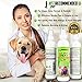 Vet Recommended Hot Spot Treatment For Dogs - All Natural Anti-Itch Anti-Fungal Spray for Dogs Dry Skin, Allergies Relief - Made in USA by 8oz/240ml