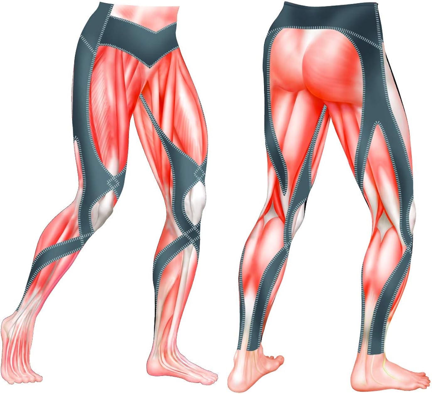 CW-X Women's Stabilyx Insulator Joint Support Compression Tight : Clothing