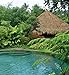 The Tropical House: Cutting Edge Design in the Philippines