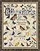 Butterfly Album Monarchs & More by 