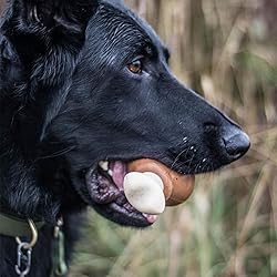 Barkbox Super Chewer Tough Dog Chew Toys for