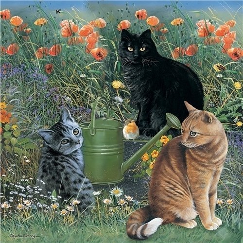 In The Garden Katzen im Garten Puzzle 1000 Teile Amazon.de