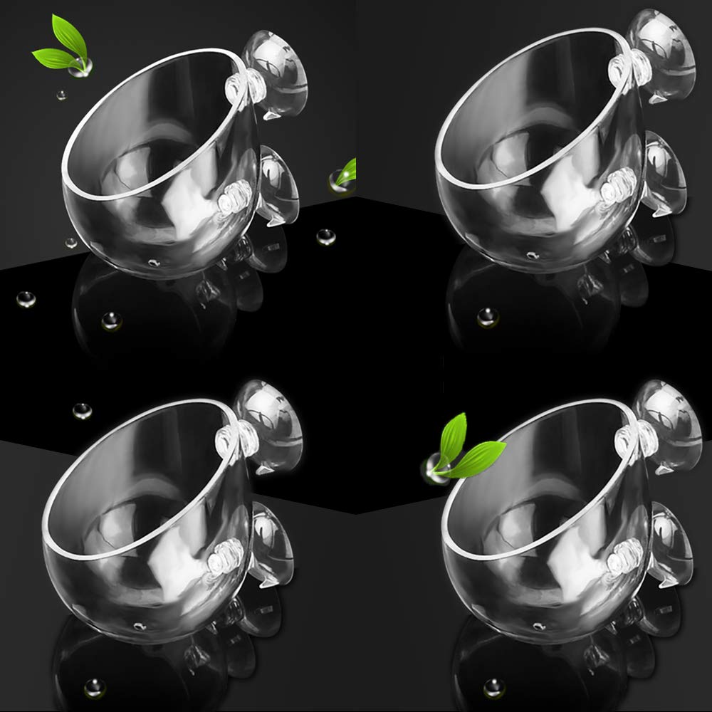 Photo 1 of capetsma 4X Crystal Glass Aquarium Plant Pot, Aquarium Aquatic Planter, Red Shrimp Live Plants Fish Tank Glass Holder with 4X Suction Cups for Aquarium Fish Tank Decorations … (4 Pack)…