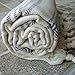 Dandelion - Ivory Basic Pattern - Naturally-Dyed Cotton Turkish Towel Peshtemal - 71x39 Inches - Gray