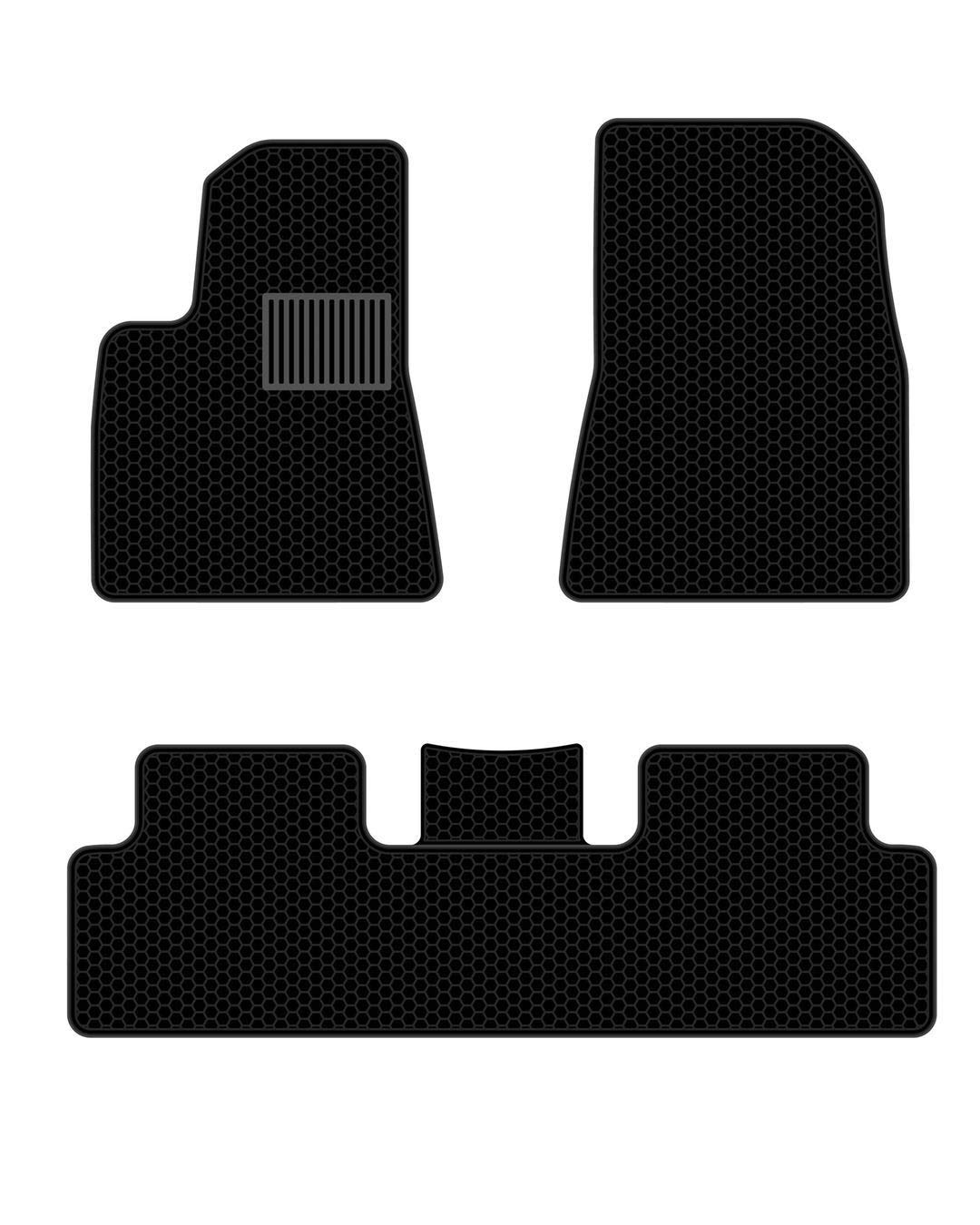 Best black mold on carpet pictures