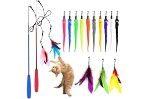 OODOSI Cat Toy Wand, Retractable Cat Feather Toys and Replacement Refills with Bells, Interactive Cat Toys for Cat Kitten Exercise