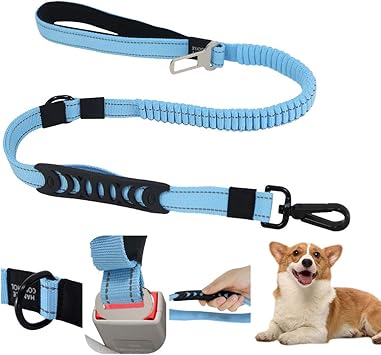 dog leads amazon