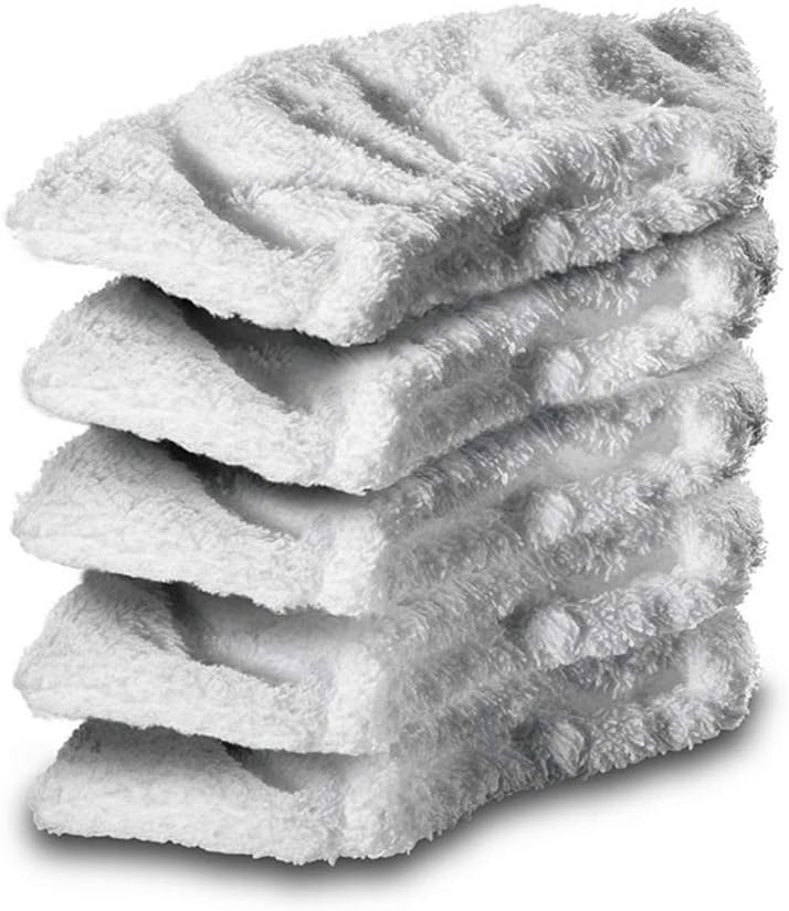 Best Steam Cleaner Karcher Sc2