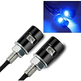 RUPSE 2ps License Plate Light,12V Waterproof LED Bulb (Blue) | License Tag Screw Bolt Lamp for Car Motorcycle Truck RV ATV Bike