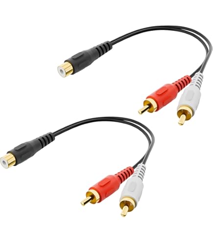 Amazon.com: 1 Foot, 8 Pin Mini Din to Dual RCA Jacks S Video