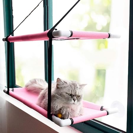 suction cup cat shelf