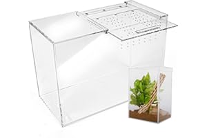AUTHENTIC JOY Tarantula Enclosure XL (10”x7”x14”) Reptile Terrarium w/Sliding Magnetic Door-Great Reptile Tank for Terrestrial or Arboreal Animals- Acrylic Terrarium for Juvenile or Adult Spiders- Hermit Crab Cage