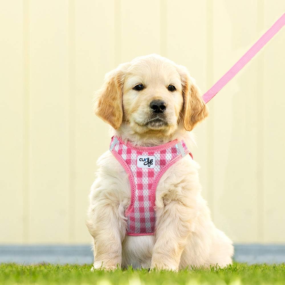 Curli Vest Air-Mesh Pink-Caro 2XS & Leash M, 2XS/M - Image 5
