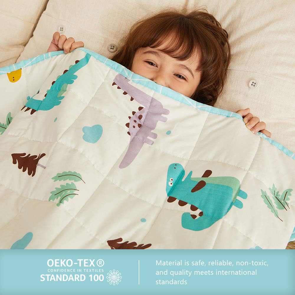 Hiseeme Weighted Blanket for Kids