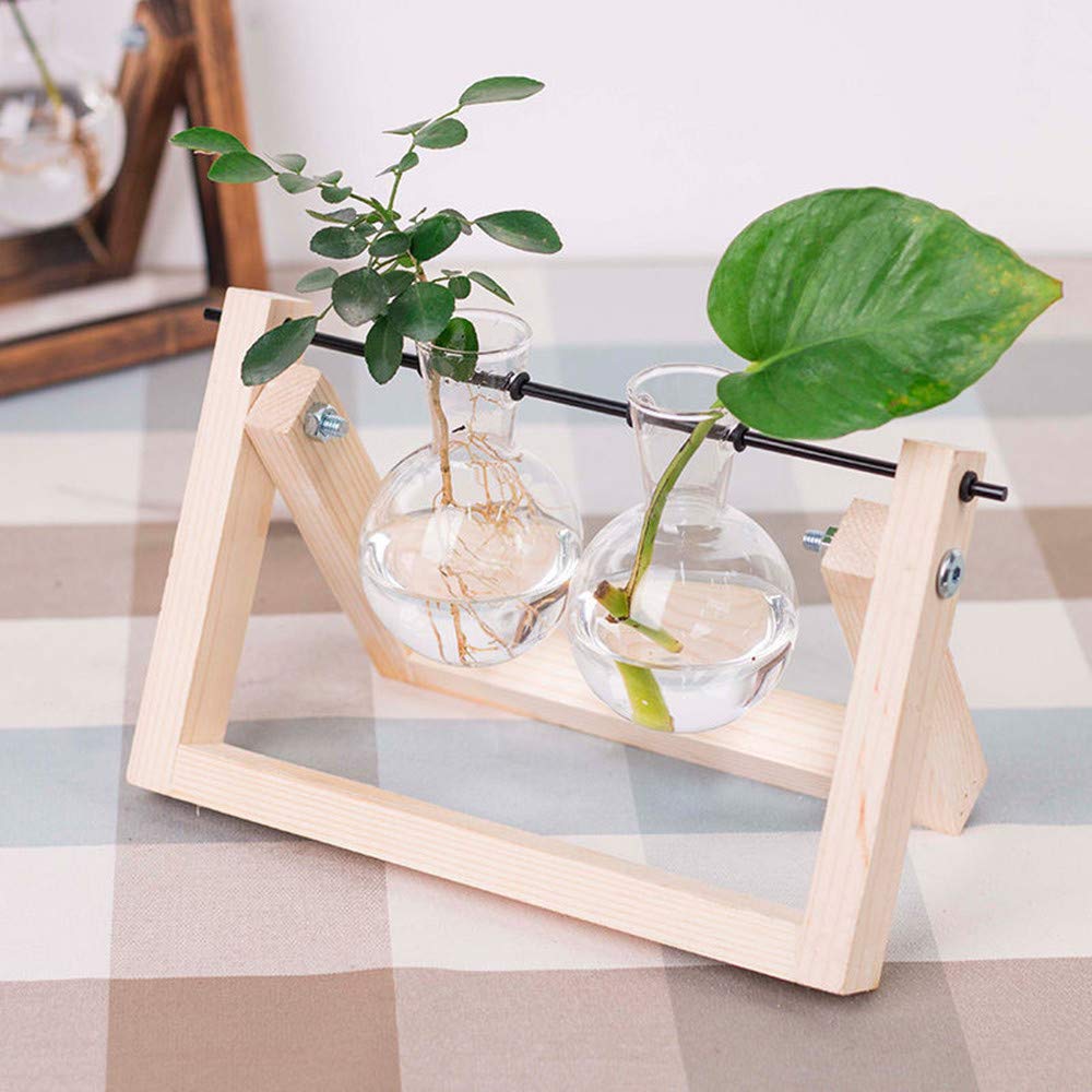 Decorazioni Da Tavolino Vaso A Bulbo In Vetro Con Retro