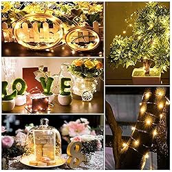 FELISHINE 20 Packs Fairy String Lights, 6.6FT 20