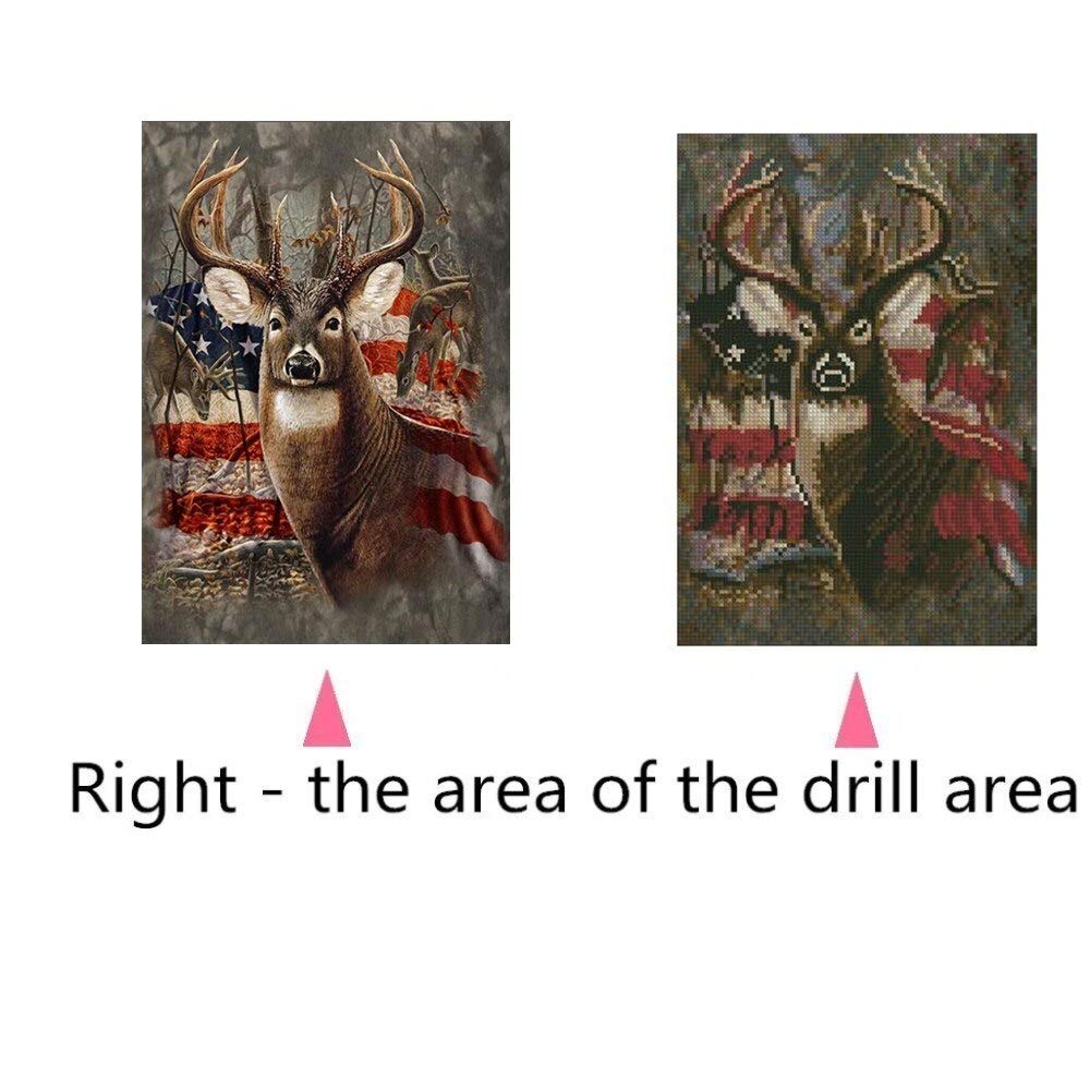 5D Diamond Painting for Adults by Number Kits, Full Drill Crystal Rhinestone Embroidery Pictures Arts Craft for Home Wall Decoration