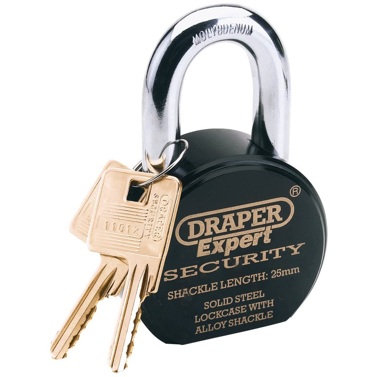 Draper 64206 Expert Heavy Duty Stainless Steel Padlock and 2 Keys 63 mm