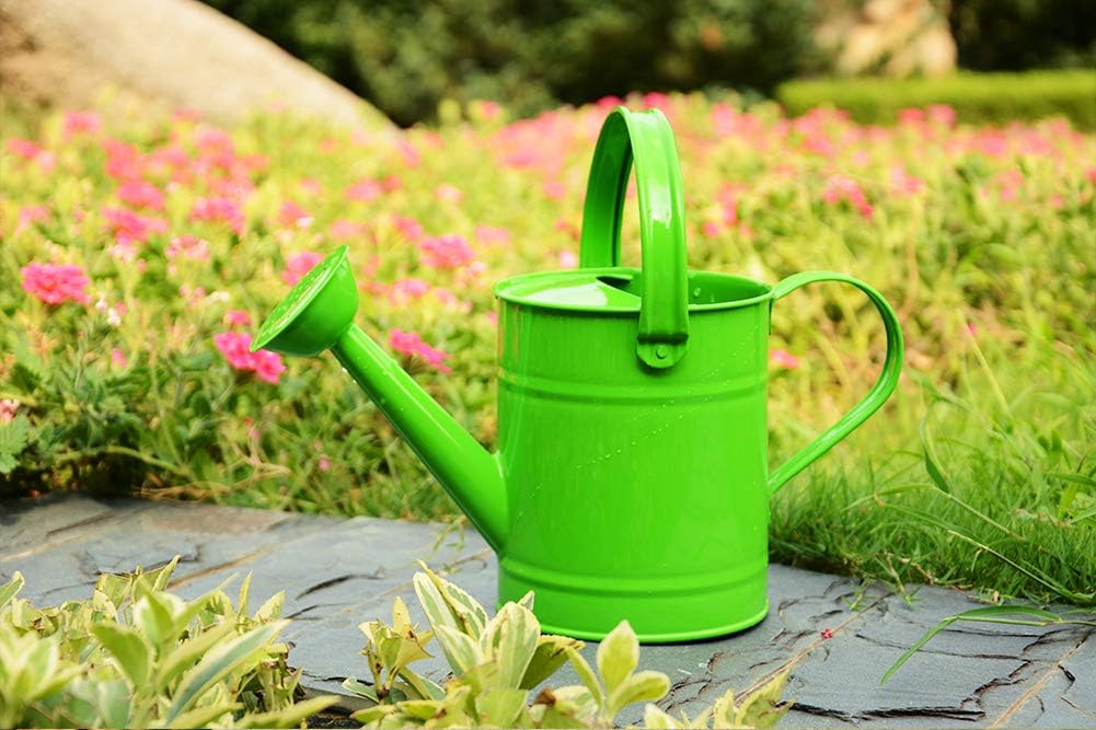 yourjoy Galvanized Metal Wating Can 67 OZ (0.5 Gallon), Watering Pot with Handle and Removable Spout for Outdoor and Indoor Plant Watering : Garden & Outdoor
