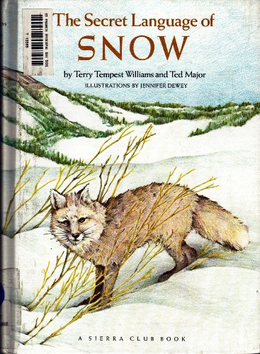 The Secret Language of Snow