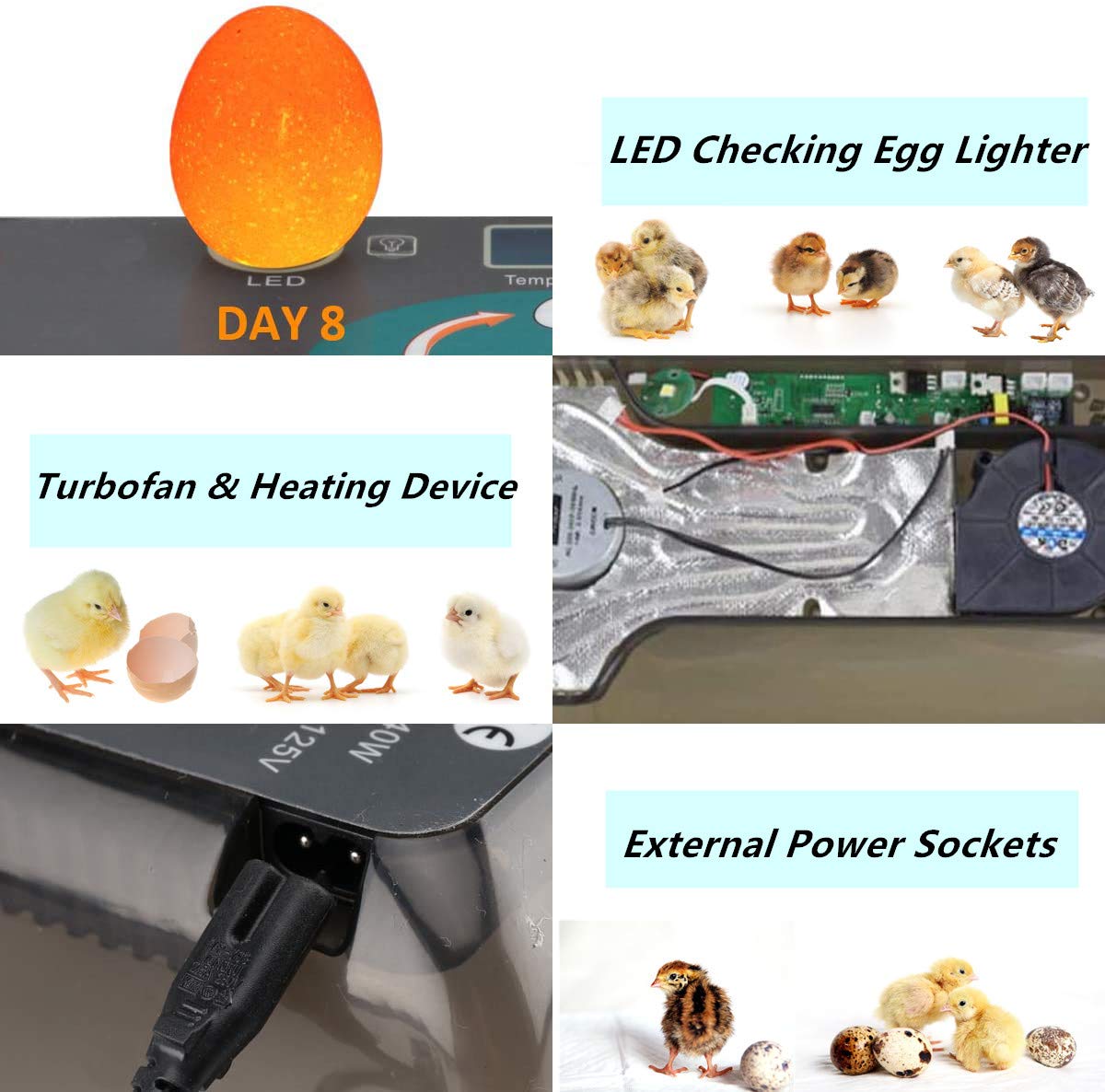 12 Eggs Incubator Temperature Control & Humidity Control & Automatic