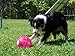 YayLabs Play and Freeze Ice Cream Ball Ice Cream Maker, Pint, Red