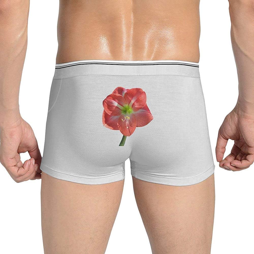 narciso calzoncillos