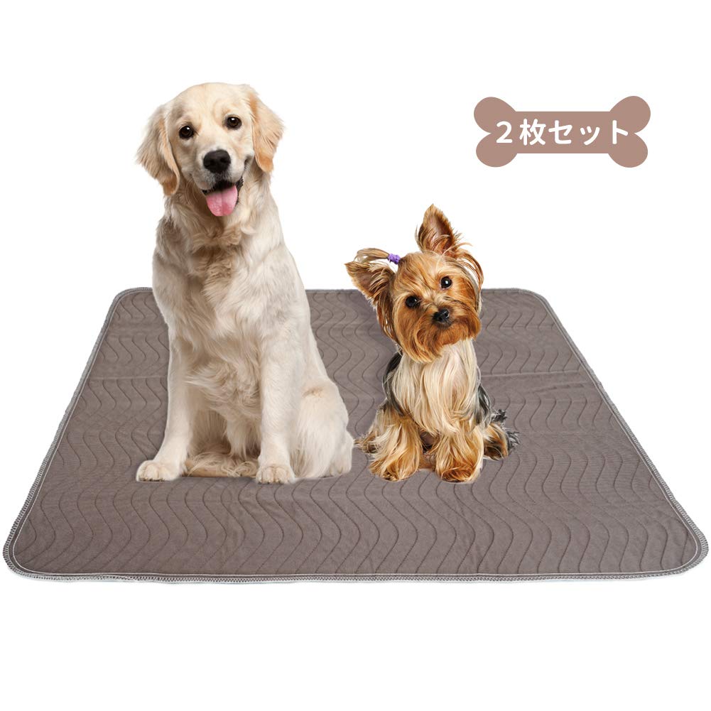 Mua 犬用トレーニングパッド ペットシーツ 洗える ペット用 トイレ下敷きマット 速乾 洗える 大判サイズ 二枚セット 90 1cm Tren Amazon Nhật Chinh Hang Fado