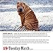 365 Dogs Page-A-Day Calendar 2019