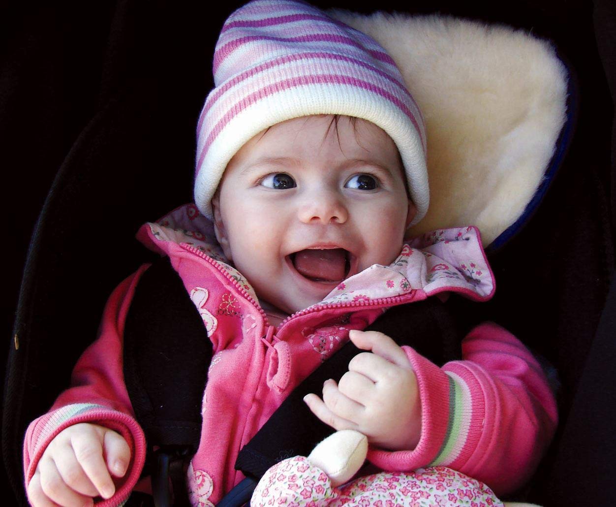 bowron stroller fleece