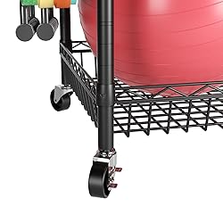 SINGAYE Dumbbell Rack, Balls Workout Equipment