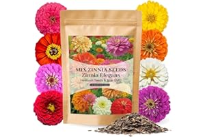 3500+ Mixed Zinnia Seeds for Planting Canada 1 Ounce Perennial Flower Seed for Outdoor Large Blooms Wildflower Seeds